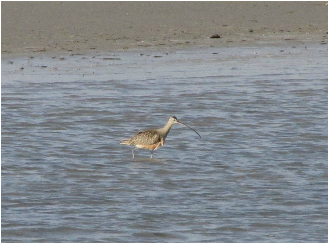 Concrete contractors in Aransas Pass