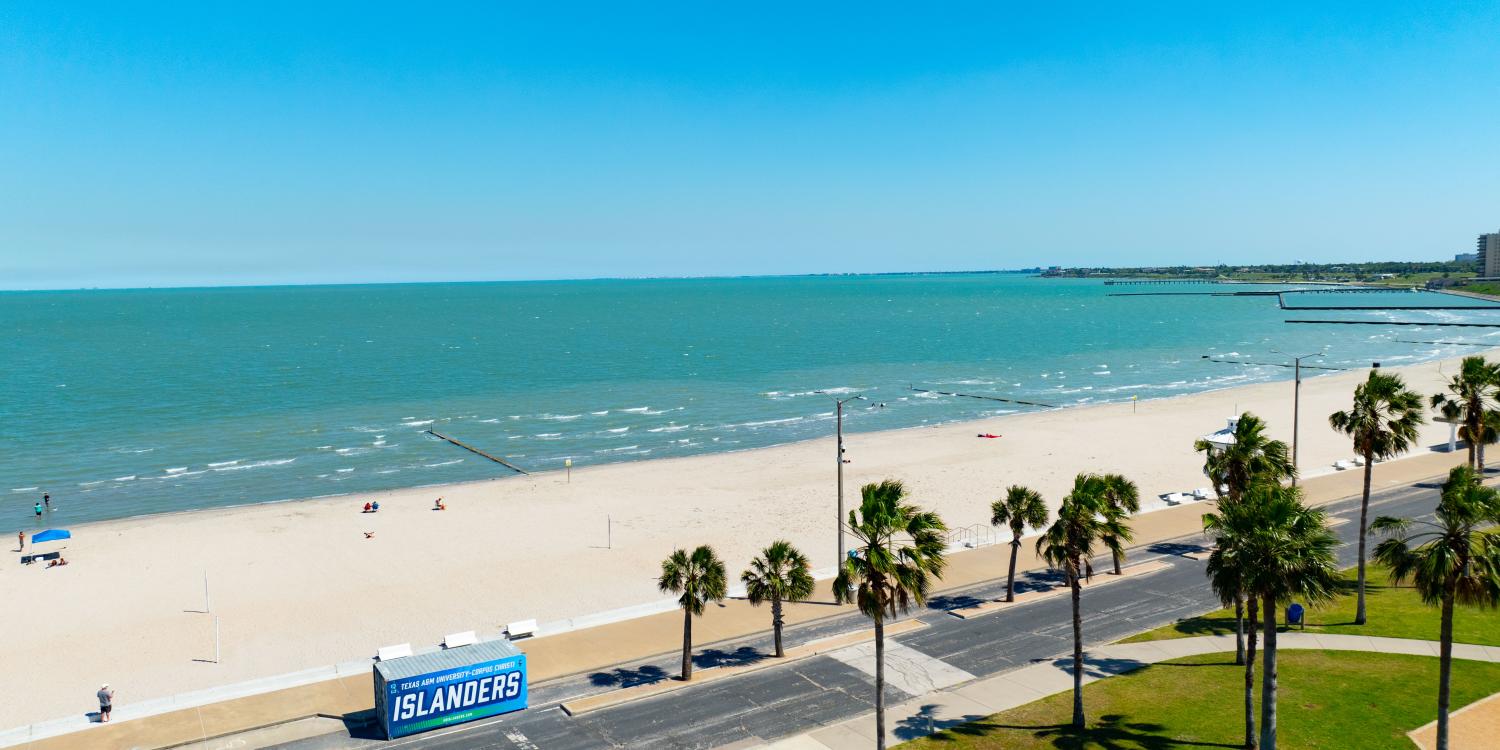 Concrete contractors in Flour Bluff