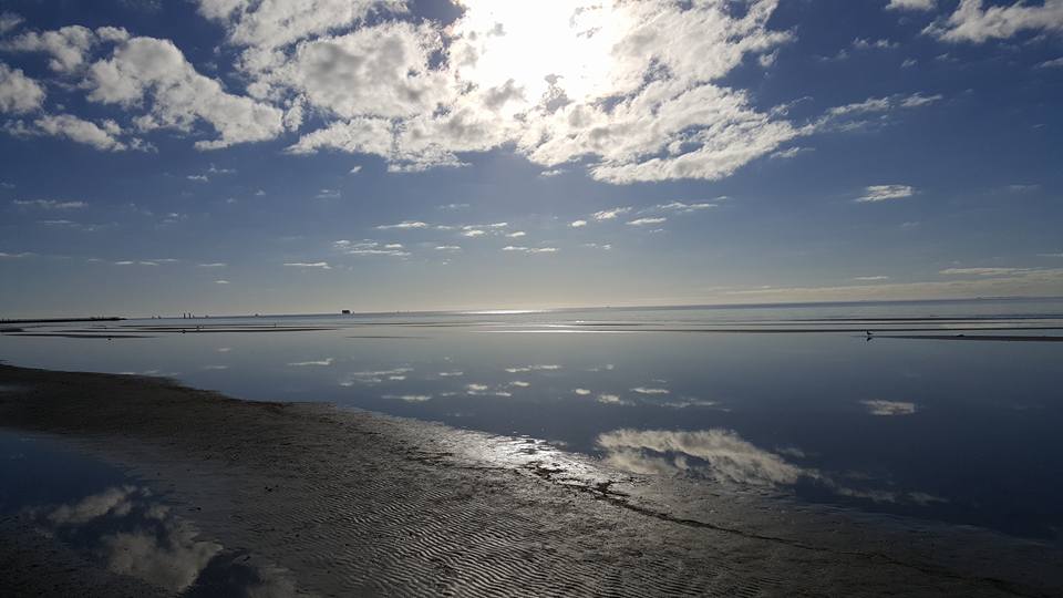 Concrete contractors in Rockport